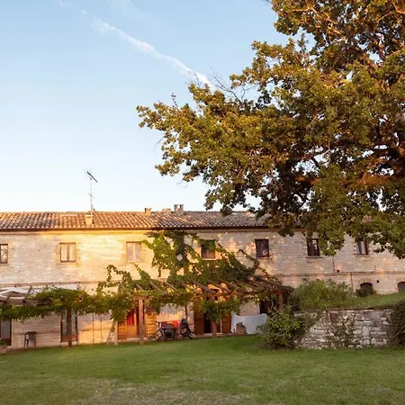 Dai Mori Isola del Piano