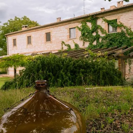 Apartment Dai Mori *