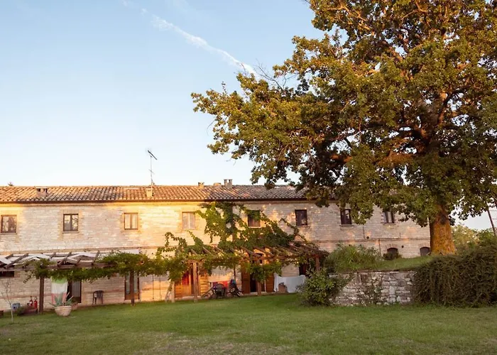 Dai Mori Isola del Piano